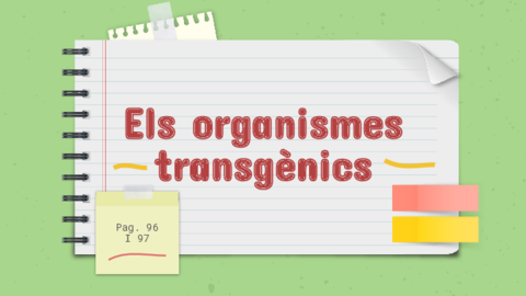 Explicacio-OGM.pdf