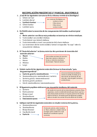 Recopilacion-preguntas-1-parcial.pdf