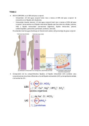 TEMA-2.pdf