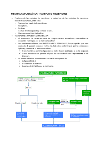 MEMBRANA-PLASMATICA.pdf