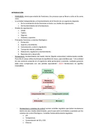 INTRODUCCION.pdf