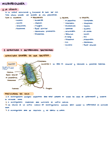 Microbiologia-primer-tema.pdf