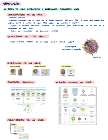virologia.pdf