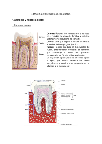 ODONTOLOGIA-tema-5-.pdf