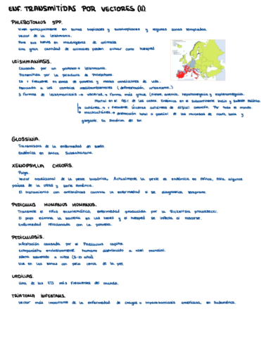 transmision-por-vectores-2.pdf