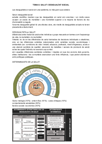 Tema-6-Salut-i-desigualtat-social.pdf