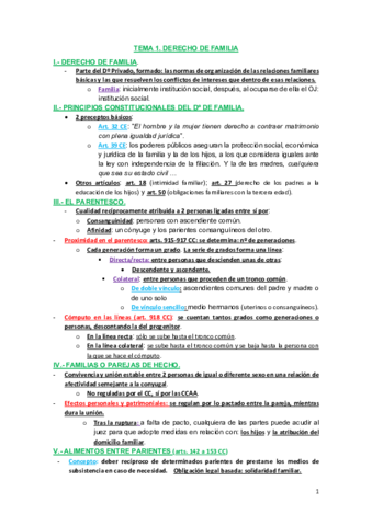 DERECHO-CIVIL-IV.pdf