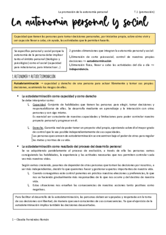 Tema-1-Promocion-.pdf