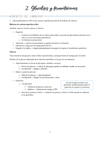 Bloques II y III hidratos de carbono