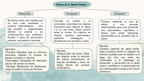los-pilares-de-la-salud-publica.pdf