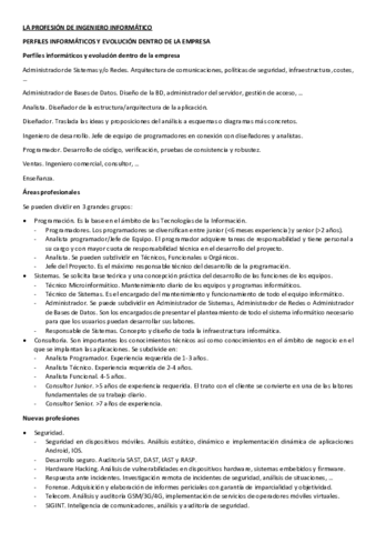 Tema 6. La profesión de I. Informático