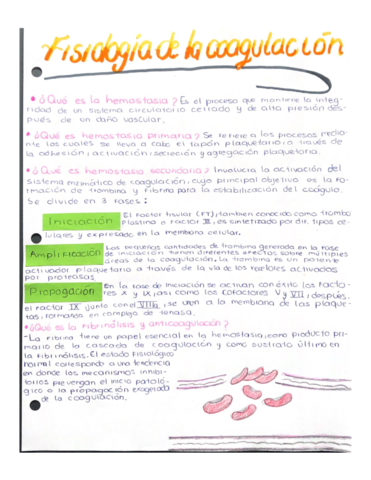 Fisiologia-de-la-coagulacion-.pdf