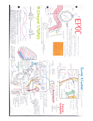 EPOC.pdf