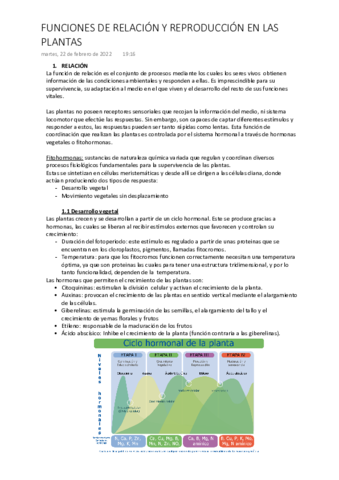 RELACION-Y-REPRODUCCION-PLANTAS.pdf