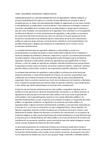 RESUMEN-POLITICAS.pdf