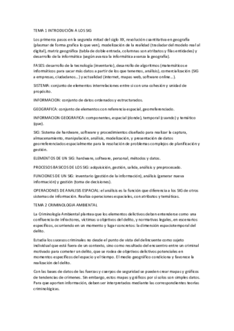 RESUMEN-SIG.pdf