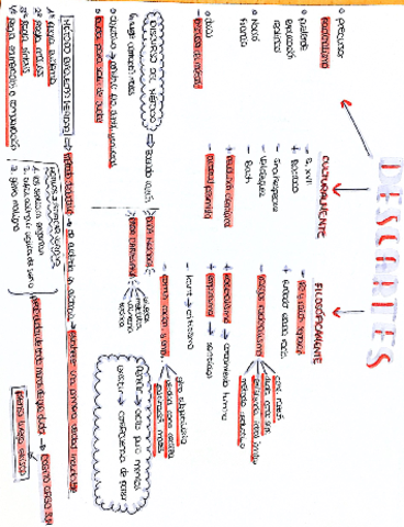 esquema-Descartes.pdf