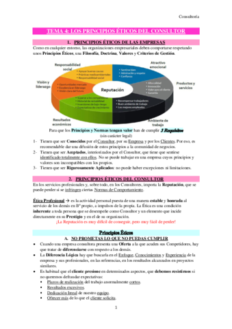 TEMA-4-Consultoria.pdf