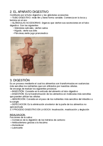BIO-T3-DIGESTION-.pdf