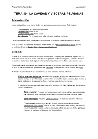 TEMA-19-LA-CAVIDAD-Y-VISCERAS-PELVIANAS.pdf