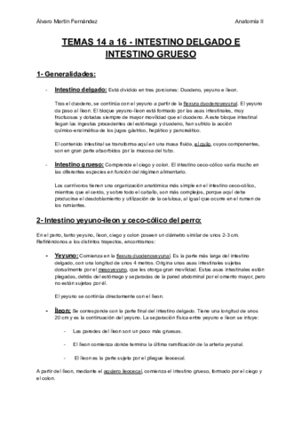 TEMAS-14-16-INTESTINO-DELGADO-E-INTESTINO-GRUESO.pdf