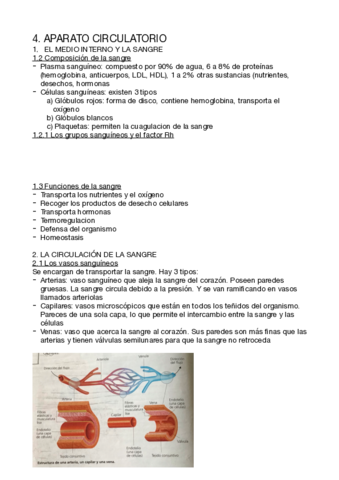 Bio-T4-Circulacion-.pdf