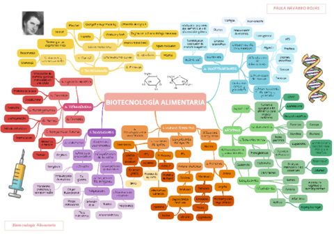Paula-Navarro-Rojas-MAPA-CONCEPTUAL.pdf
