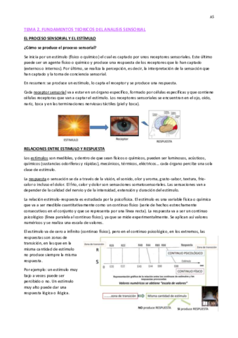 TEMA-2-FUNDAMENTOS-TEORICOS.pdf