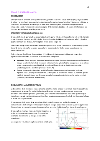 TEMA-3-LA-VISTA.pdf