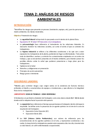 TEMA-2-ANALISIS-DE-RIESGOS-AMBIENTALES.pdf