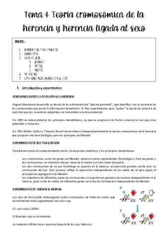 tema-4-genetica.pdf