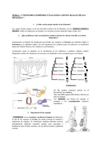 T2.pdf