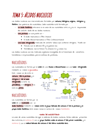 Documento-sin-titulo.pdf
