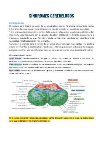 SINDROMES-CEREBELOSOS.pdf