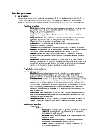Biologia-Proteinas-y-enzimas-.pdf