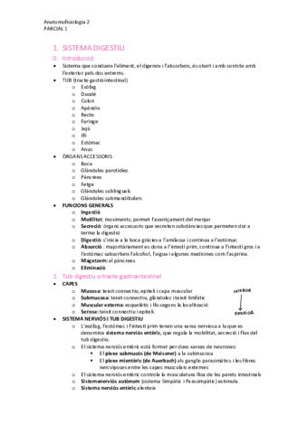 resum-sistema-digestiu-anatomofisiologia.pdf