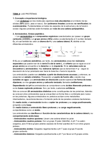 TEMA-4-PROTEINAS-resumenes-1.pdf