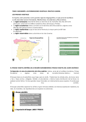 FORMACIONES-VEGETALES-PRACTICA-CLISERIE.pdf