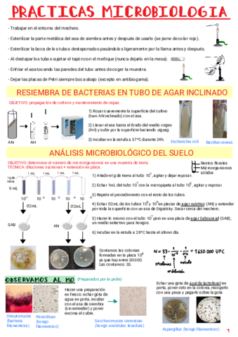 Practicas-Micro.pdf