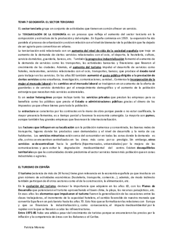 EL-SECTOR-TERCIARIO.pdf