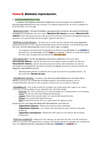 Tema-6-Sistema-Reproductor.pdf