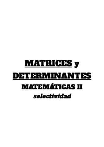 MATRICES-y-DETERMINANTES.pdf