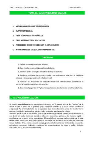INTRODUCCION-METABOLISMO.pdf