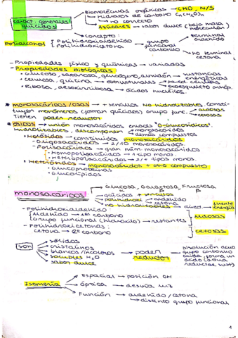t.pdf