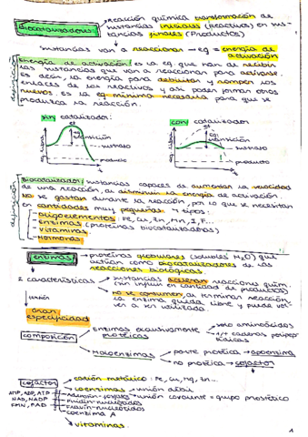 biologia-t.pdf