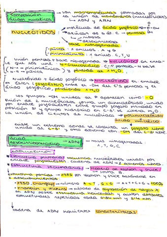 t.pdf