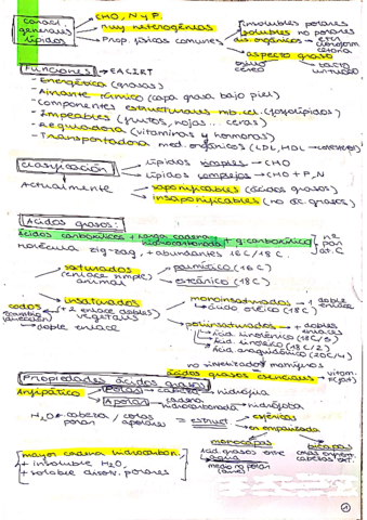 biologia-t.pdf