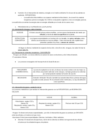 FUNCIONES-VITALES-DE-LAS-PLANTAS.pdf