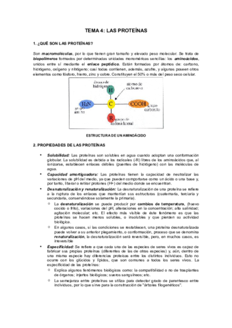 APUNTES-PROTEINAS.pdf
