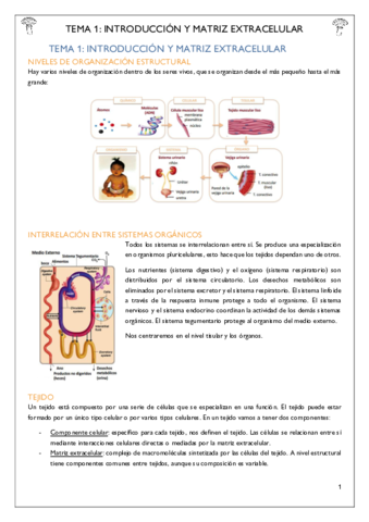 Tema-1-Introduccion-y-Matriz-Extracelular.pdf